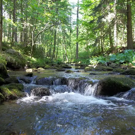 Alloggio in famiglia Kamienna Polana *