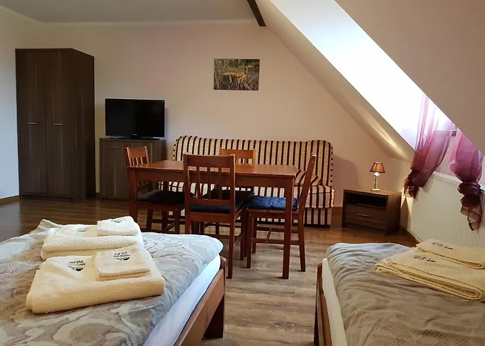 Kamienna Polana Séjour chez l'habitant Szczytna