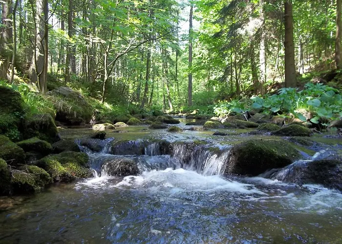 Séjour chez l'habitant Kamienna Polana *